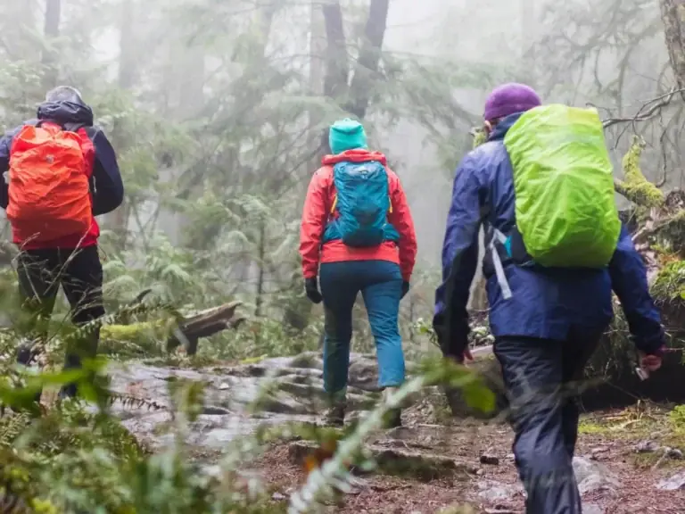 How to Manage Unexpected Weather Changes: Strategic Response & Preparedness Guide