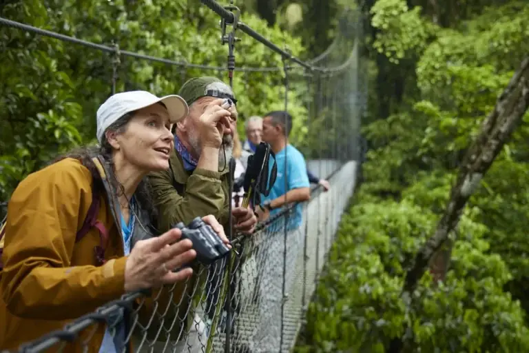 Top Adventure Travel Options: Ultimate Expedition Guide