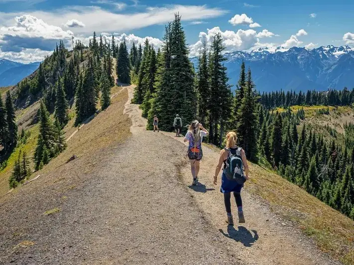 Top Wilderness Experiences in America: Definitive Guide