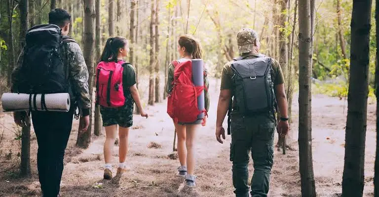 Wilderness Survival Plans: Comprehensive Protocols & Field Strategies